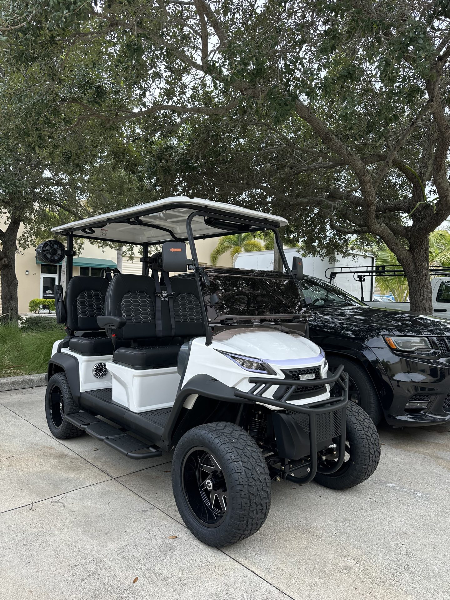 
								2026 Venom EV Stealth full									